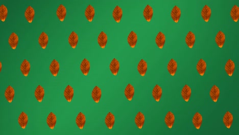 Animation-of-rows-of-orange-autumn-leaves-on-green-background
