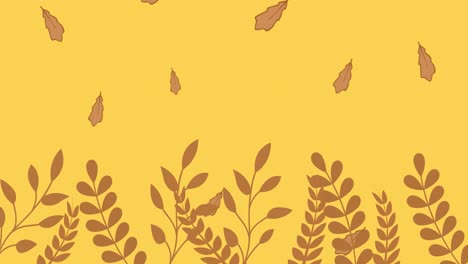 Animation-of-brown-autumn-leaves-falling-on-yellow-background