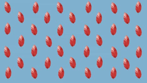 Animation-of-rows-of-autumn-red-leaves-on-blue-background