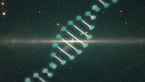Animation-Eines-DNA-Strangs,-Der-Sich-über-Leuchtenden-Sternen-Auf-Schwarzem-Hintergrund-Dreht