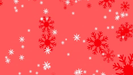 Animation-Von-Roten-Und-Weißen-Schneeflocken,-Die-über-Roten-Hintergrund-Fallen