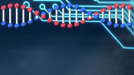 Animation-Eines-Sich-Drehenden-DNA-Strangs-über-Einer-Computerplatine