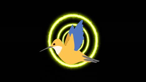 Animation-of-bird-over-neon-circles-on-black-background