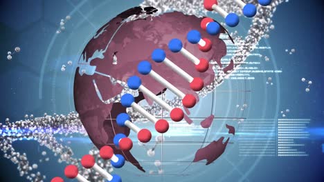 Animation-of-dna-strand-spinning-and-medical-data-processing-over-globe