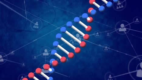Animación-De-La-Cadena-De-ADN-A-Través-De-Una-Red-De-Conexiones-Sobre-Fondo-Azul-Oscuro