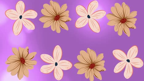 Animation-of-pink-flowers-spinning-over-purple-background