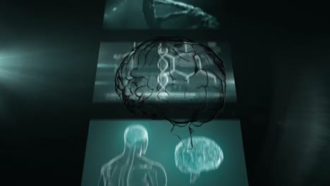 Animation-of-human-brain-spinning-over-screens-with-scientific-data-processing