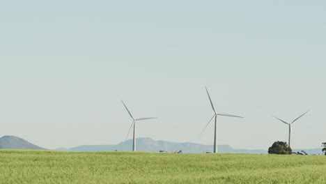 Gesamtansicht-Von-Windkraftanlagen-In-Ländlicher-Landschaft-Mit-Wolkenlosem-Himmel