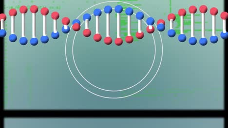 Animation-of-dna-strand-and-circles-over-data-processing