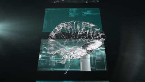 Animation-Des-Menschlichen-Gehirns,-Das-Sich-Mit-Wissenschaftlicher-Datenverarbeitung-über-Bildschirme-Dreht
