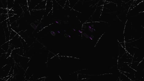 Animation-of-purple-light-trails-on-black-background