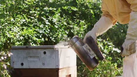 Caucasian-male-beekeeper-in-protective-clothing-using-smoker-to-calm-bees-in-a-beehive