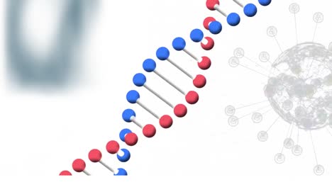 Animación-De-Una-Cadena-De-ADN-Girando-Sobre-Una-Red-De-Conexiones.