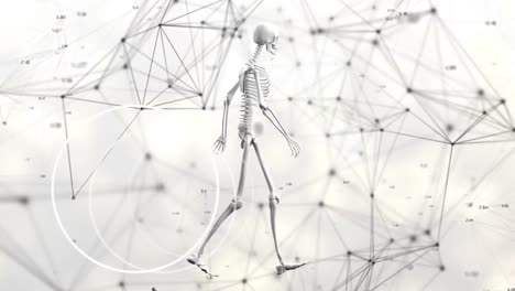 Animation-Eines-Wandelnden-Skeletts-über-Ein-Netzwerk-Von-Verbindungen-Auf-Weißem-Hintergrund