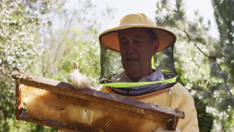 Senior-caucasian-male-beekeeper-in-protective-clothing-cleaning-honeycomb-frame-from-a-beehive