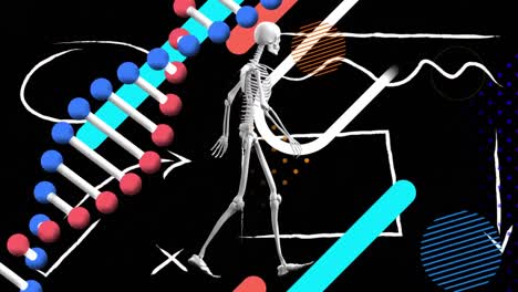 Animation-Der-DNA-Kette,-Des-Wandelnden-Skeletts-Und-Verschiedener-Formen-Auf-Schwarzem-Hintergrund