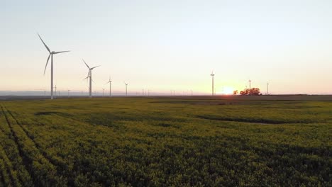 General-view-of-wind-turbines-in-countryside-landscape-with-cloudless-sky