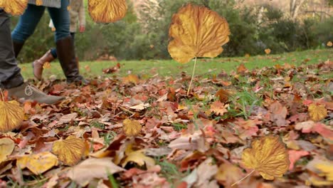 Animation-Von-Orangefarbenen-Herbstblättern,-Die-über-Eine-Kaukasische-Familie-Fallen,-Die-Im-Park-Spaziert