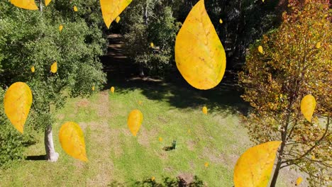 Animation-of-orange-autumn-leaves-falling-in-park