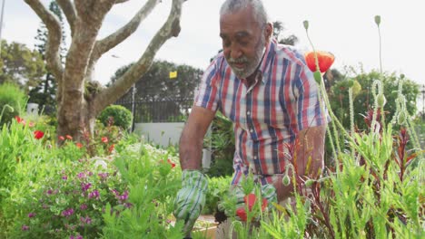 Animation-of-african-american-senior-man-gardening,-planting-flowers