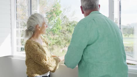 Happy-caucasian-senior-couple-standing-at-window