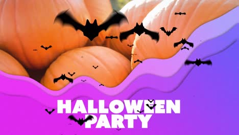 Animation-of-halloween-greetings-and-bats-on-background-with-pumpkins