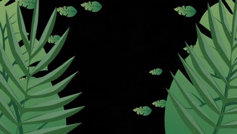 Animation-of-leaves-floating-ob-black-background