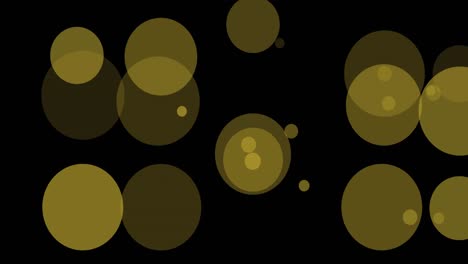Animation-of-floating-light-spots-on-black-background