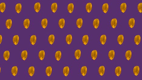 Animation-of-multiple-orange-autumn-leaves-on-purple-background