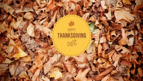 Animation-Eines-Happy-Thanksgiving-Day-Textes-über-Herbstblättern