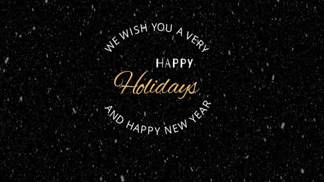 Animation-of-we-wish-you-a-very-happy-holidays-and-happy-new-year-text,-christmas-greeting-on-black