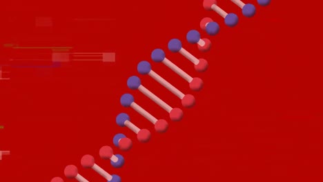 Animation-of-interference-and-dna-strand-on-red-background