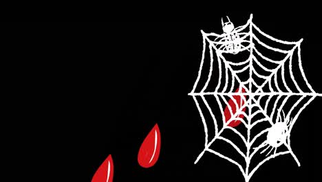 Animation-of-blood-and-spiders-web-on-black-background