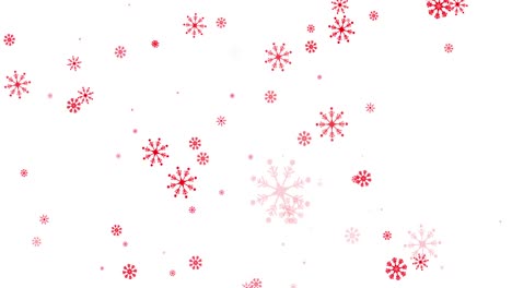 Animation-of-red-snowflakes-falling-on-white-background
