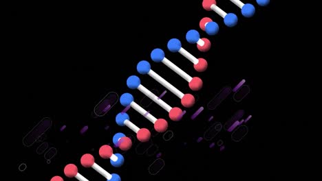 Animation-Von-Violetten-Lichtspuren-über-Einem-DNA-Strang,-Der-Sich-Auf-Schwarzem-Hintergrund-Dreht