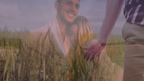 Animation-of-caucasian-couple-cuddling-and-man-walking-in-summer-field