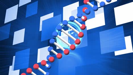 Animation-Eines-DNA-Strangs-Und-Einer-Beweglichen-Uhr-über-Blauen-Quadraten-Auf-Schwarzem-Hintergrund