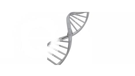 Animation-of-dna-strand-and-shapes-on-white-background