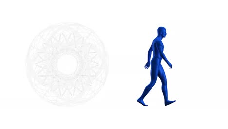 Animation-of-human-walking-and-shapes-on-white-background