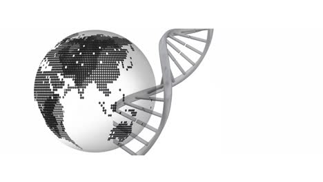 Animation-Von-DNA-Strang-Und-Globus-Auf-Weißem-Hintergrund