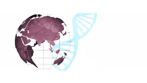 Animation-of-dna-strand-and-globe-on-white-background