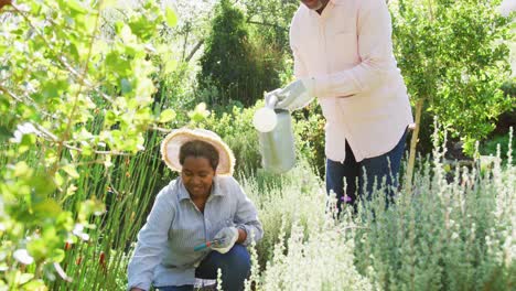 Glückliches-Afroamerikanisches-Seniorenpaar,-Das-Im-Garten-Arbeitet-Und-Blumen-Im-Freien-Gießt