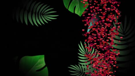 Animation-of-floating-hearts-over-tropical-leaves-on-black-background