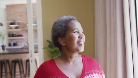 Porträt-Einer-Glücklichen-Afroamerikanischen-Frau,-Die-Durch-Das-Fenster-Schaut