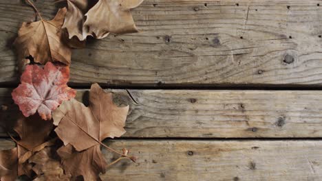 Close-up-view-of-autumn-leaves-with-copy-space-on-wooden-surface