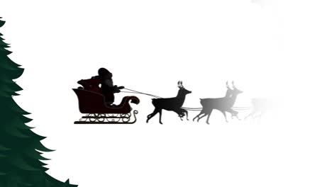 Animation-of-santa-in-sleigh-with-reindeer-over-fir-tree-on-white-background-at-christmas