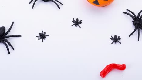Animation-of-spiders-on-white-background