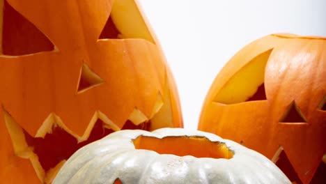 Animation-of-pumpkins-on-white-background