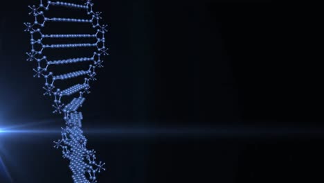 Animation-Eines-Blauen-DNA-Strangs,-Der-Sich-Auf-Schwarzem-Hintergrund-Dreht