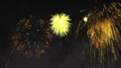 Animation-of-yellow-fireworks-exploding-on-black-background